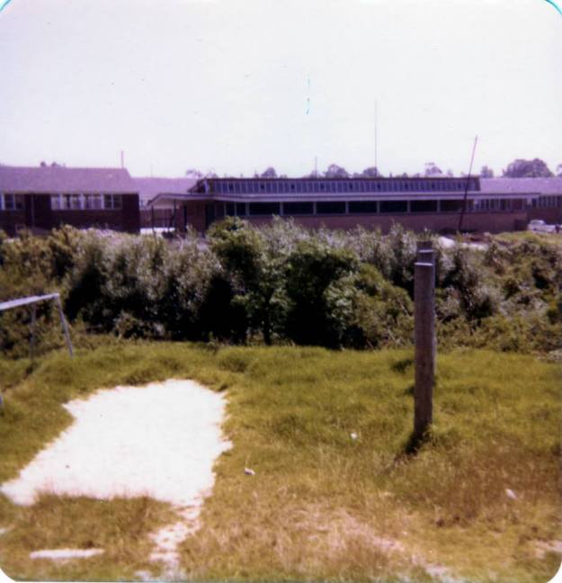 1001317_207201496098602_465262465_n