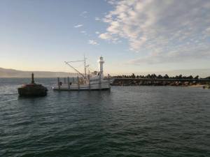 295650_10201246113017216_705724959_n