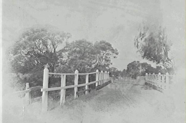 421334_10201236163488484_1223540133_n