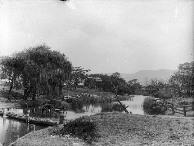 426645_10201236164128500_2012130510_n