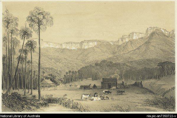 601332_10201236140047898_1966233155_n