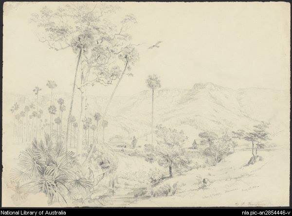 601704_10201236139527885_238355746_n