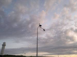 601723_10201246104657007_687502057_n