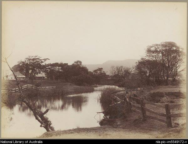 603004_10201236163768491_138433994_n