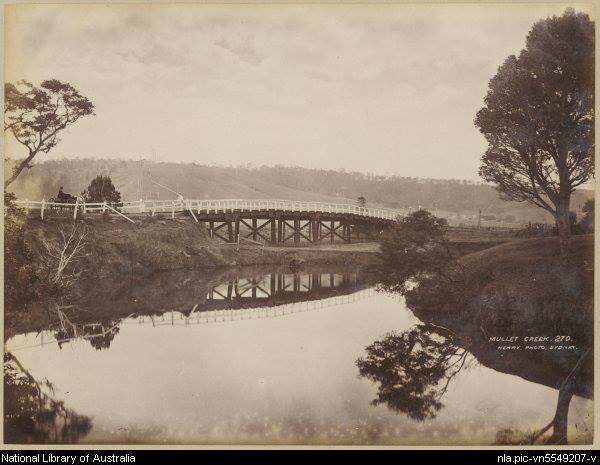 603043_10201236163928495_1069467746_n