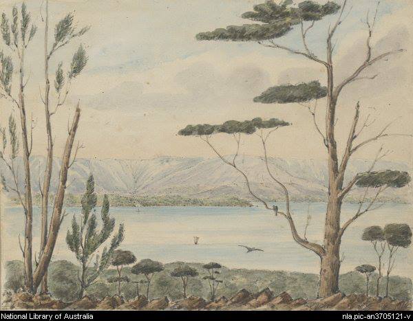 931172_10201236140167901_440136099_n