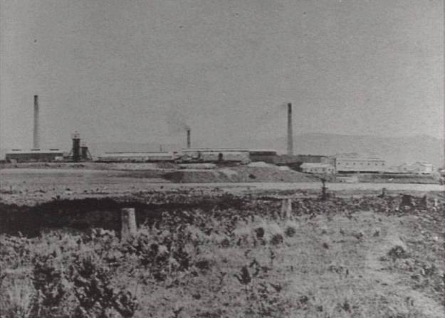 934779_10201236172928720_532141313_n