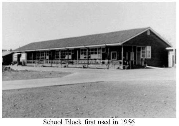 935834_10201328600559120_156403450_n