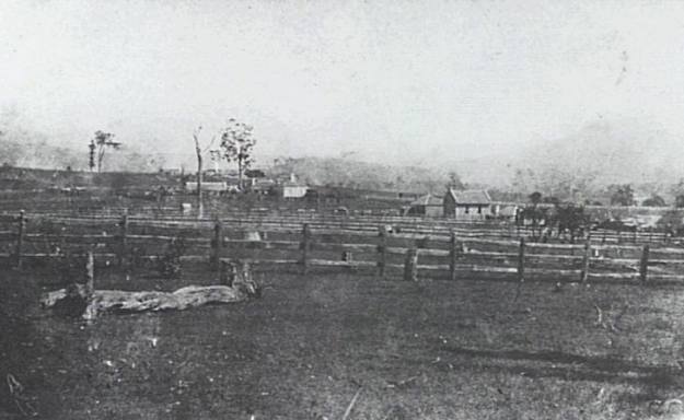 943609_10201236173088724_913962584_n