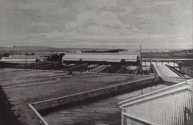 943700_10201236167448583_1459945879_n