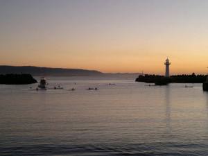 944231_10201246110857162_785419564_n