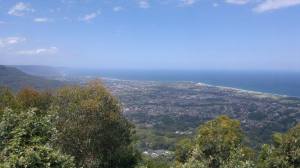 945951_10201246106217046_247344247_n