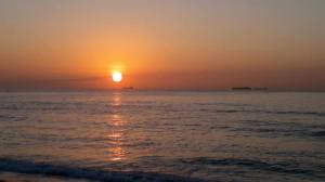 960029_10201246111857187_519616418_n