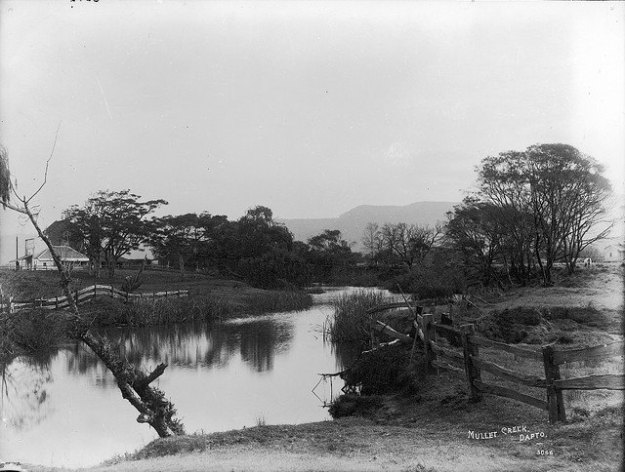 968885_10201236164288504_904284169_n