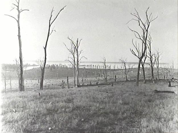 969921_10201236167648588_1003455910_n