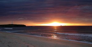 971129_10201246112777210_259887731_n