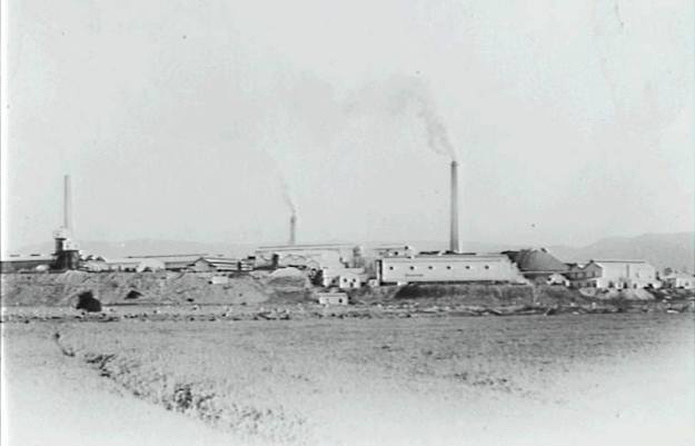 971247_10201236167808592_951321506_n