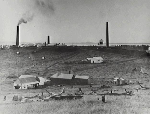 971891_10201236172608712_1466901548_n