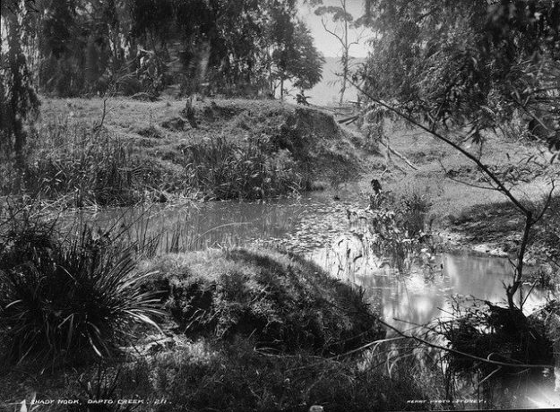 992970_10201236146128050_1438168096_n