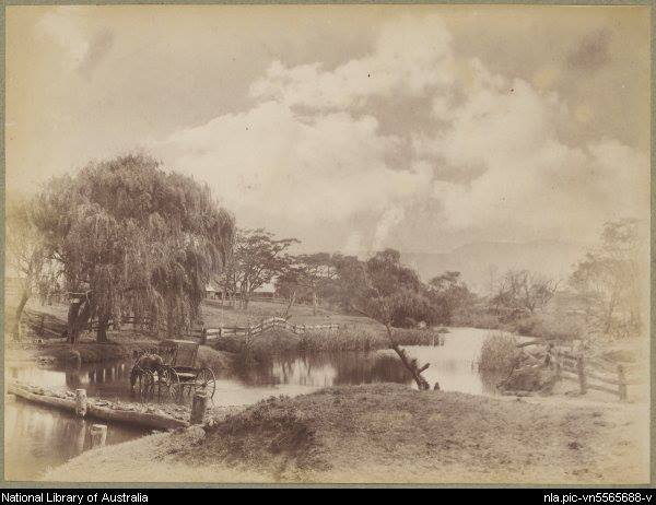 9976_10201236163608487_354789282_n